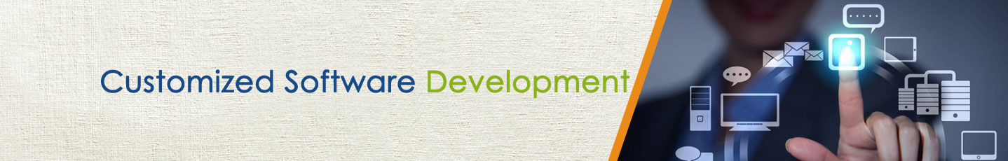 Customized Software Development banner, AMS Customized Software Development banner, ALMNS Limited Customized Software Development banner
